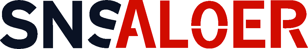 SNS ALOER Global Supply Chain logo