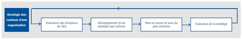 Strategie bas carbone d'une organisation