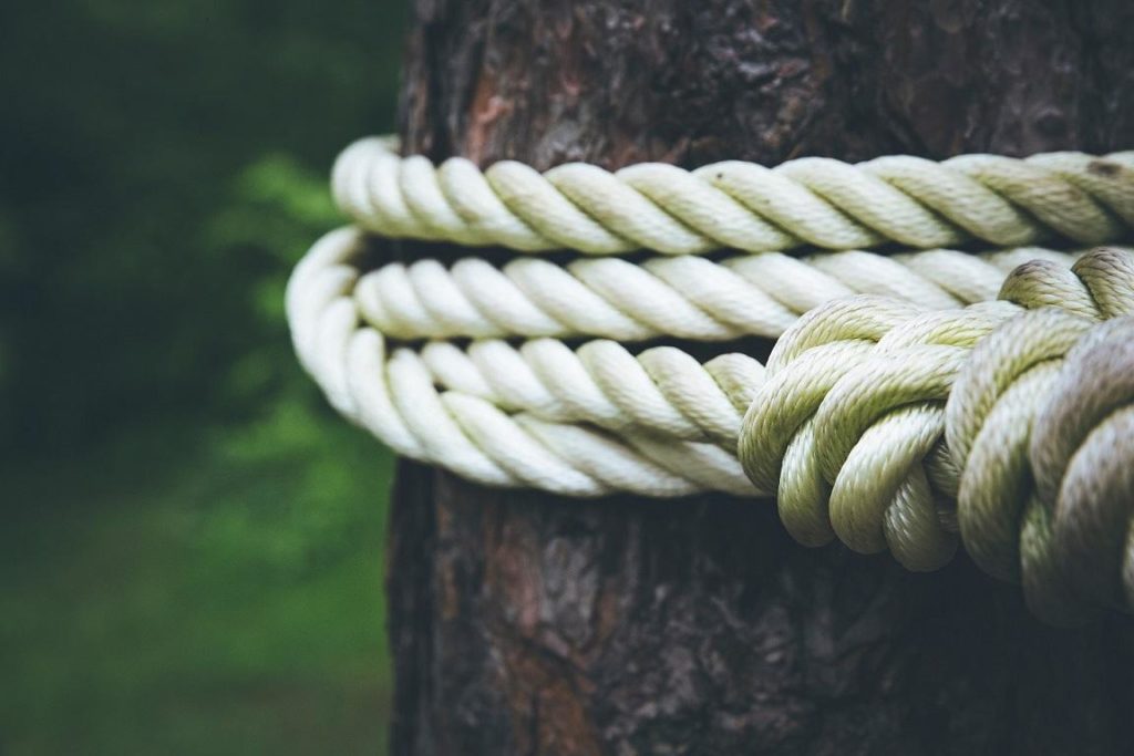 Résistance au changement illustrée par une corde accrochée à un tronc d'arbre