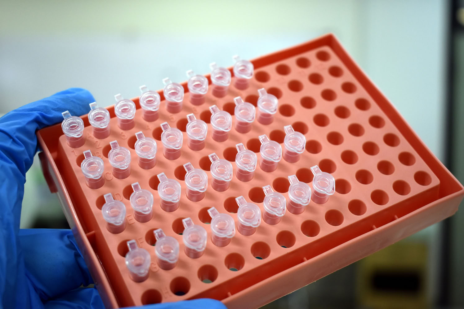Une main gantée et plateau de tubes à essai_Échantillonnage dynamique en pharma