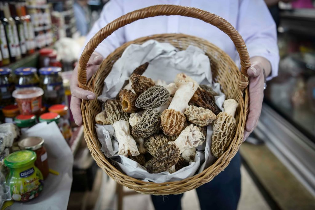 Panier de morilles illustrant le multi-sourcing de la chaîne d'approvisionnement - Supply chain